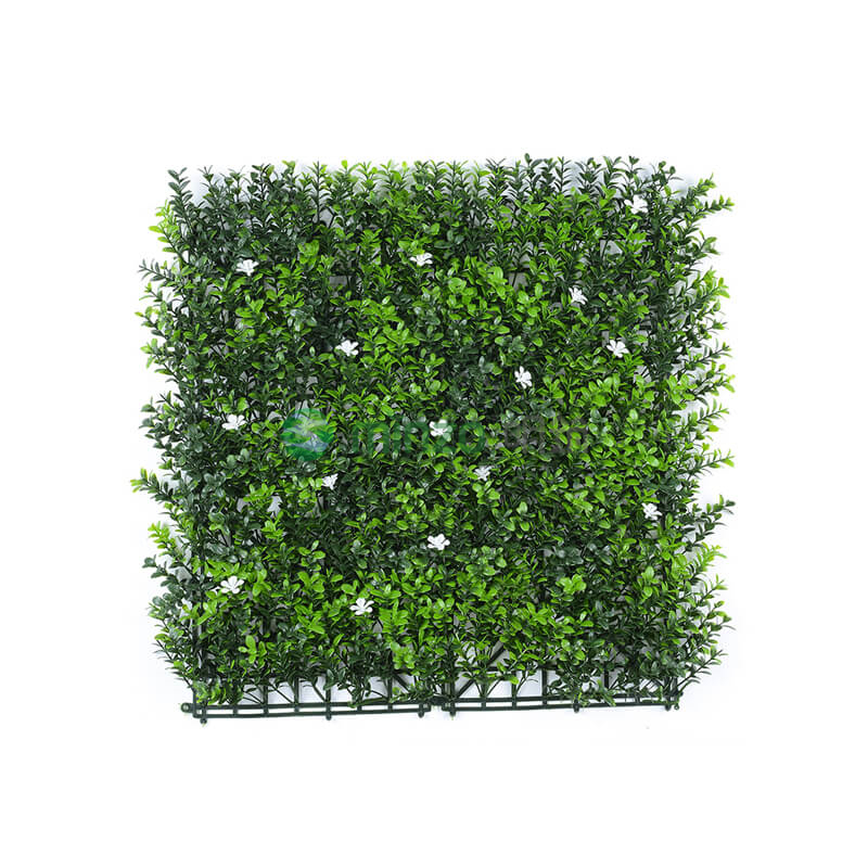 淺雙色7層金錢(qián)草帶白花(8*8斜釘)