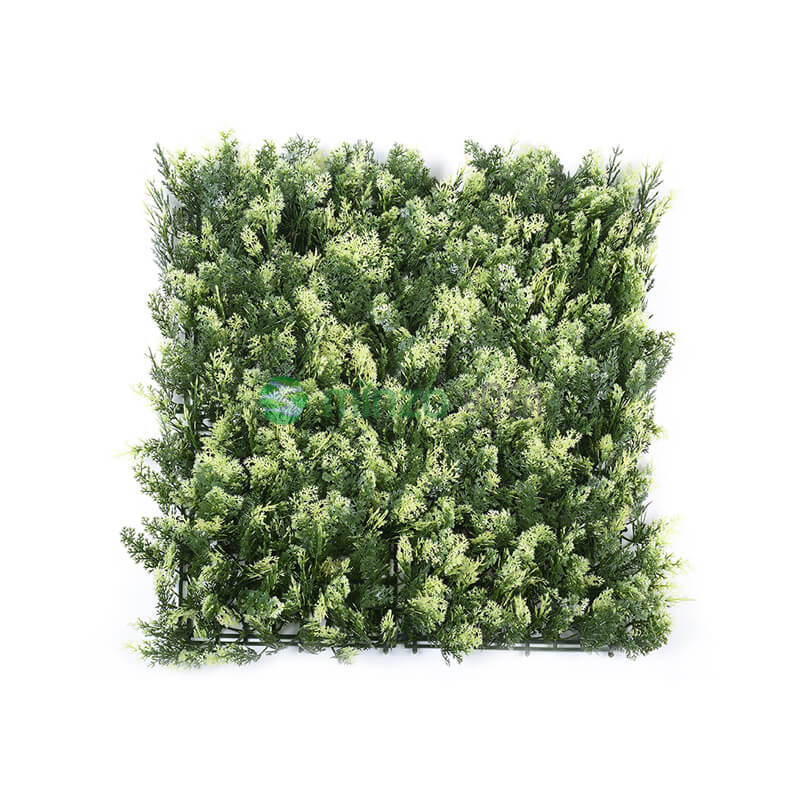 米白柏樹(shù)葉